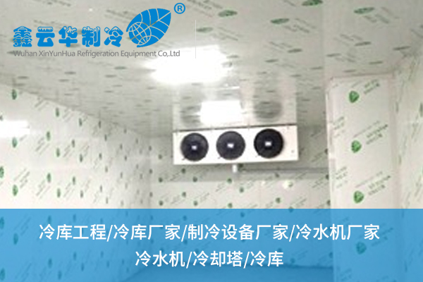 衢州超市冷庫搭建怕踩雷？從選材到布局的“保鮮法則”全在這兒！